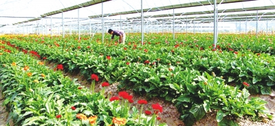 �ݐݲM�y�A�������]��H�H