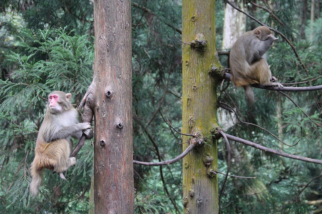 �����\���i�������ܬK  �Γz���ͬ��ѕ��w��