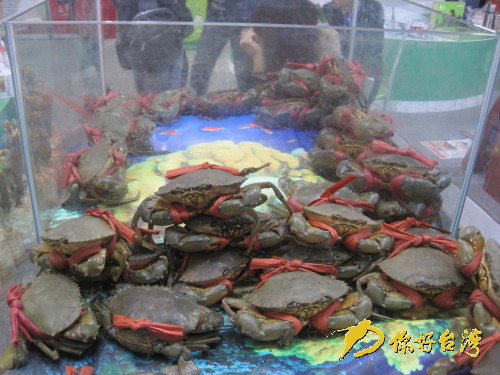 �z��|�ڮi�|�Y���h�S��