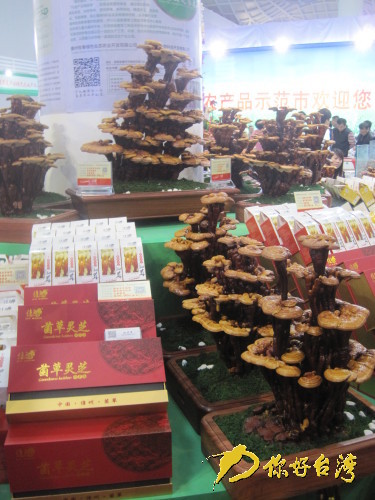 �z��|�ڮi�|�Y���h�S��