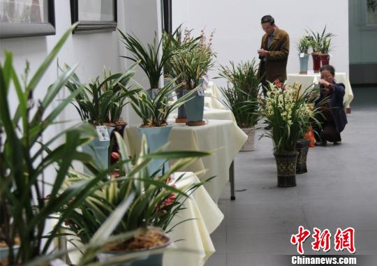 ���F���K�i�|���e�O�����W�^��