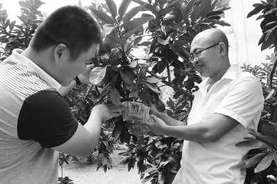 兒鋇籓笰承種褐蘻蒤蕖柚跑身‥舅虜}〃