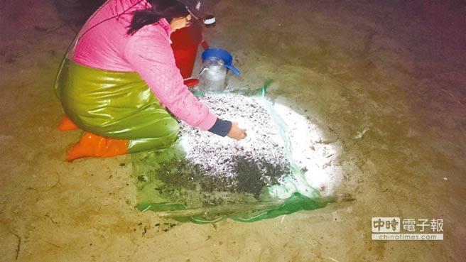 �H�y���w �������Y���G�����Я}9000��(��)