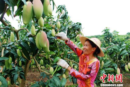 ���w�e�g�擡�j��������t�j�t�עh�Ĭ��