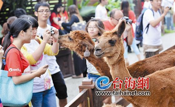 J50yeMR NW50yew J50yeMR NW50yew