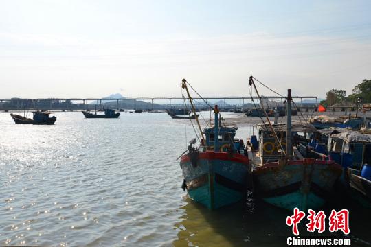 ���W6�R�l�t���Y�����������_