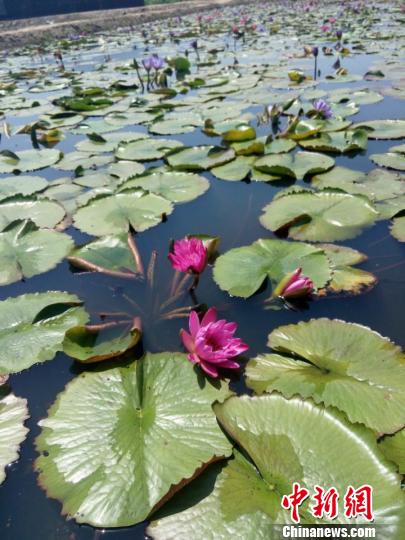 ���W�L�I�Ͻ⡲�o�hҧ�ғ��Y���J�����a