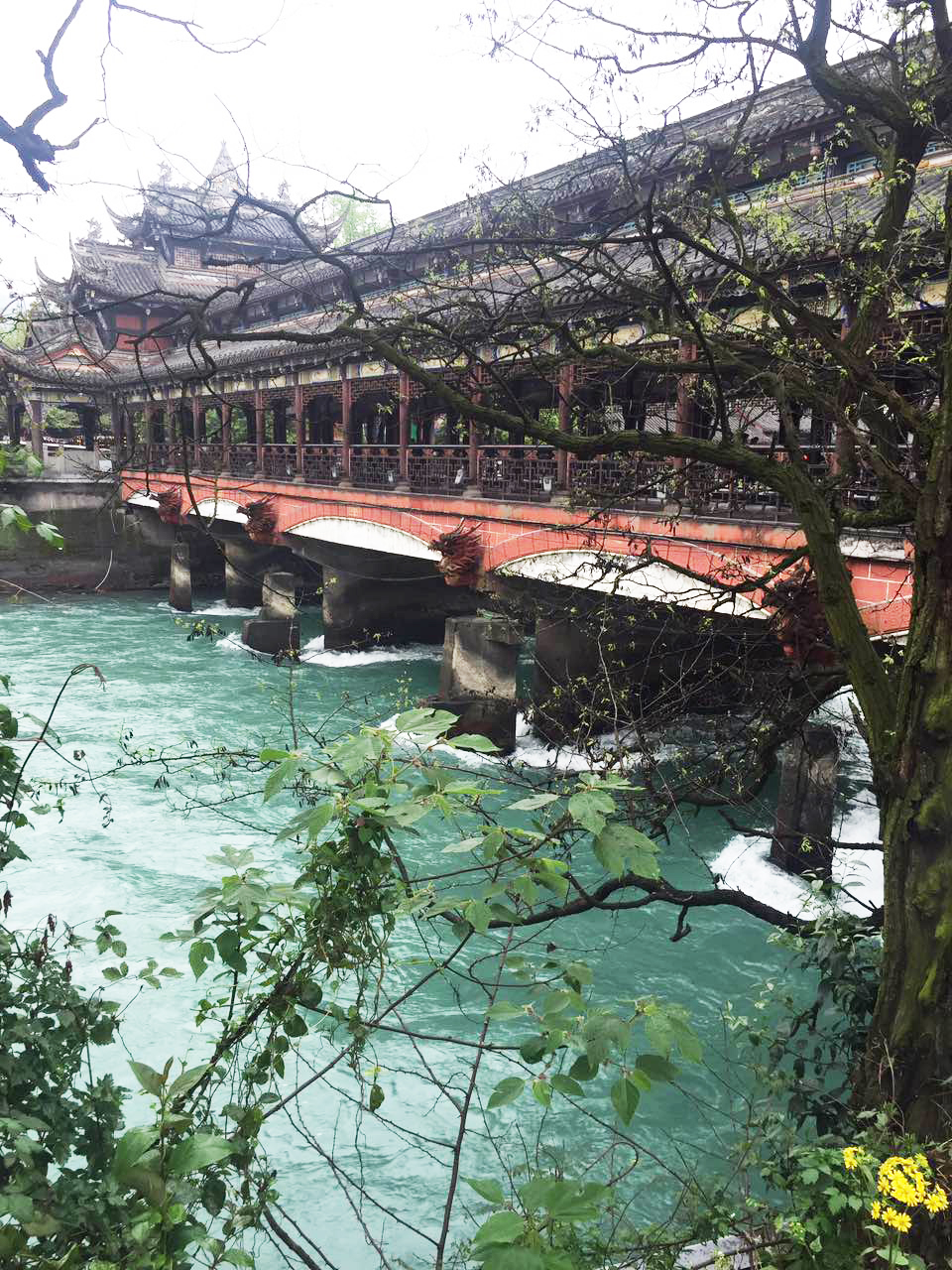 �M�����W�������Y�`�o�o