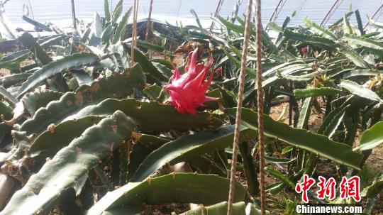 ���W�W�s�ĔI�������t�}�h�ē��P���K����{���H�H