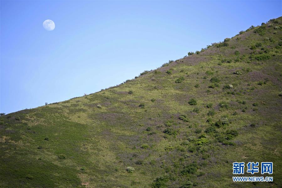 ���O�E����1���p�V�w���O