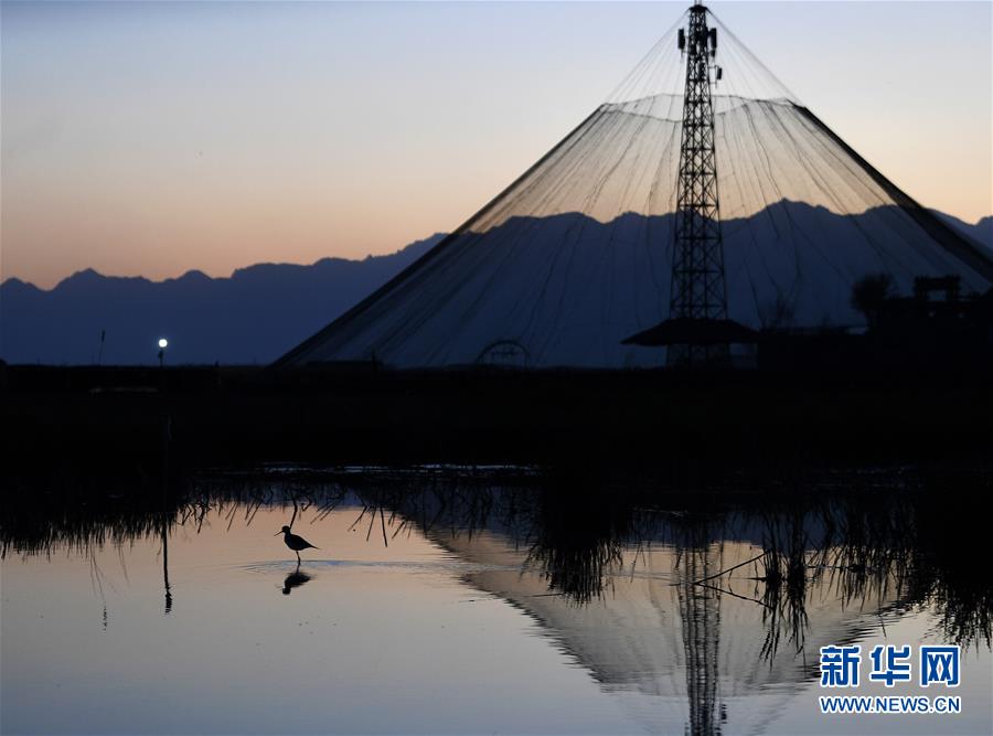 ���O�E����1���{��Ũ�V �S�Ъ��_