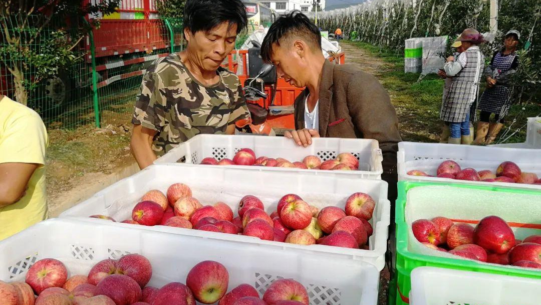 �O�k�ϕ��rï����t�}�O����71�f��