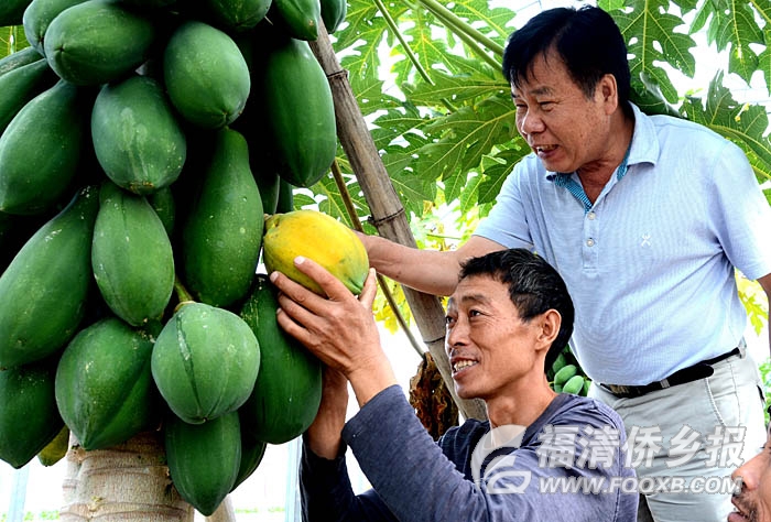 �ŲM���W�ϥ����Z�[�Y�����W�עg����