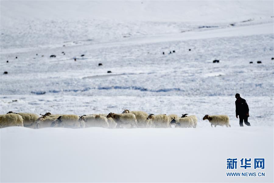 ���_�|����1���M�A�Y�j�X���k