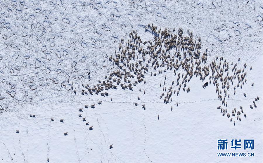 ���_�|����2���M�A�Y�j�X���k