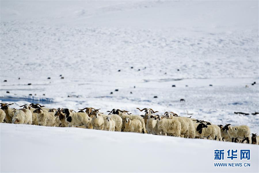 ���_�|����3���M�A�Y�j�X���k