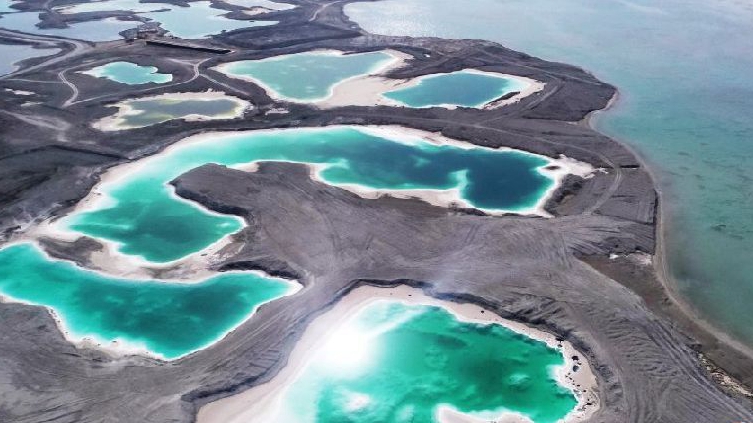 ��Ȓ��Y�L�p�}�ۡ�