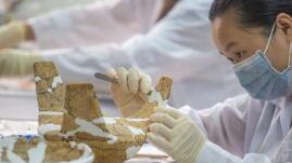 �l���J���@�a�����Ǭ�i