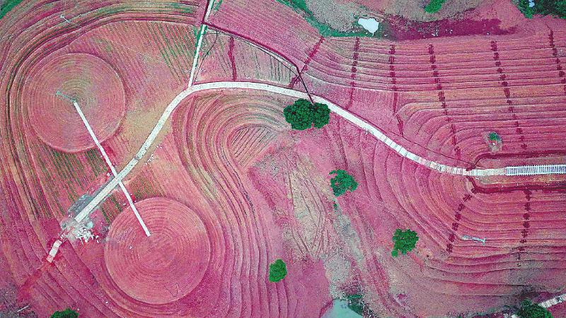 �q�Lä�ꡲ�աL�s�~�� ���Y���t���s�~�����~���i