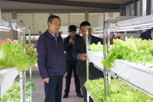 �W�Ƚ��áo����s�����[����n���[