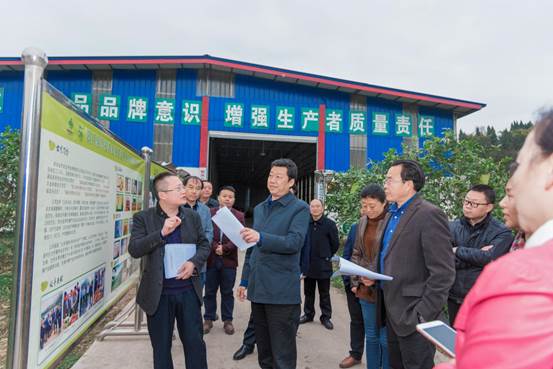 ���R: DSC_3006