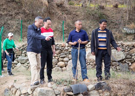 ���R: _19A0524