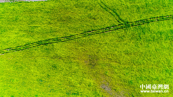 ����̧��r������