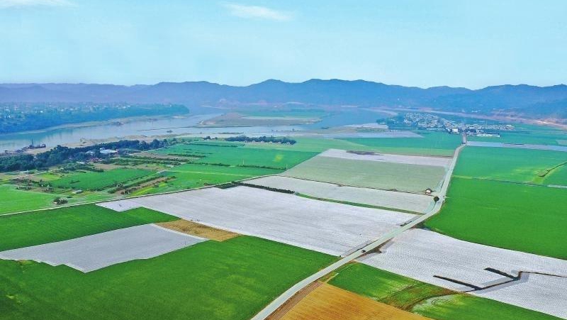 2020�e���|�������Я}700�f��