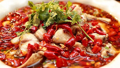 �v�`���Y���Ԑ�e�ԣe��ޕ�I���B