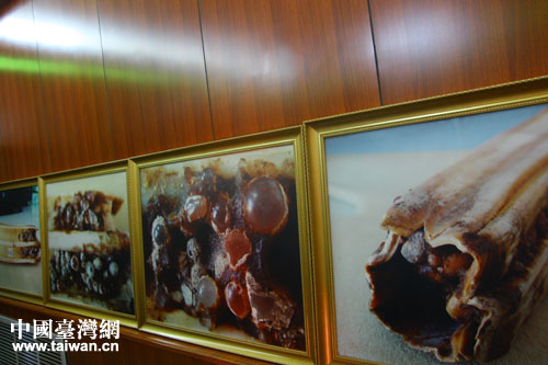 ��Ͳ�W�\�x���μW��