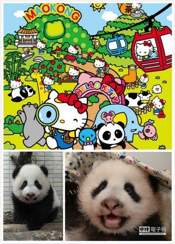 ���WYahoo�e���L���J�����J�����]�}�}�G����