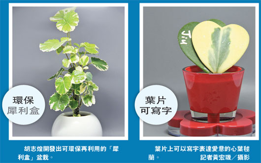 7�e���h12���[�岣������ì�|�Ӻ�������ʐ�