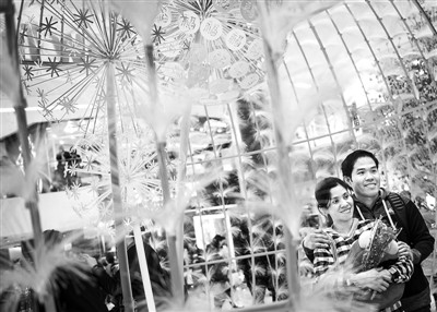 �K�n���ߖI�z�f�ߔe���������w�H