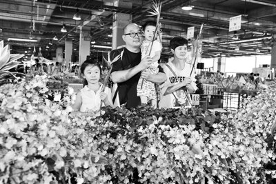 �哥�Y���L�l���r���������B���ʐ�