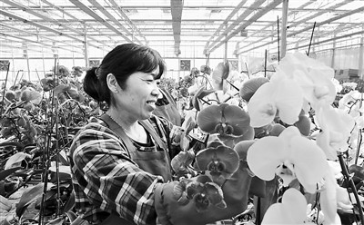 ���W�^���I�s�����I���ʐ�