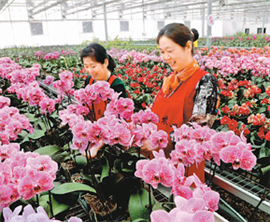 ���W�^�� �s�����I