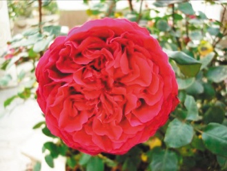 ��ҧ���� 4�����S���C�F