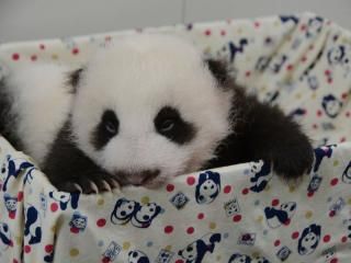 ����]�}�}���n�����m���K3����󧧧�(��)