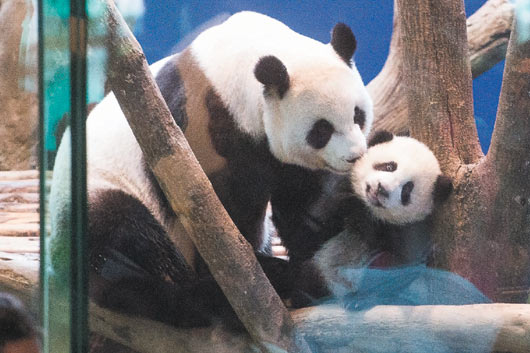 �������F�B�哥����]�}�}���~�K�L�{�E�磤��