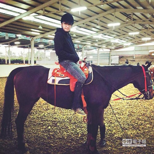 �i�����N���[�I�哥���|�}�Օs��VCR�������W