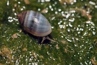 ���W���}�s�ֻ��J�P�˪��a�p�y�ʕ��_�˪���ʐ�