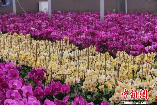 ����Q�b�����Y�L���W����