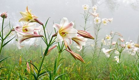 ��F�ӳ������w���e����}������F���ʐ�