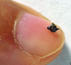 �d���{����������