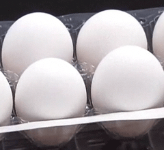 ���Wħ���˕j���t�|���t��