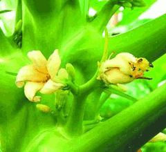 ���Wħ���w�W���त�� ��ʶ}�|�^����