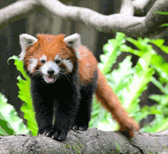 �Ŕb���]�w�w���W�G��