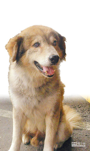 ���գj�r����������E�h���I���Y�L���ҡ����K���ȹq��p�L��