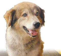 �R�^��j�r���䨫 �h�˸ܔI�ʮ_�g�N�N���E