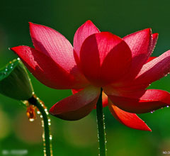 ���w�C�y���ĩ��������[�ѕ� �L���ܒɧڨ�������